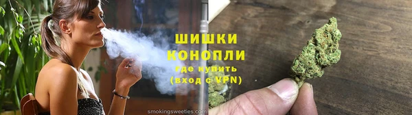 PSILOCYBIN Горнозаводск