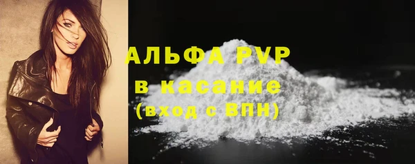 PSILOCYBIN Горнозаводск