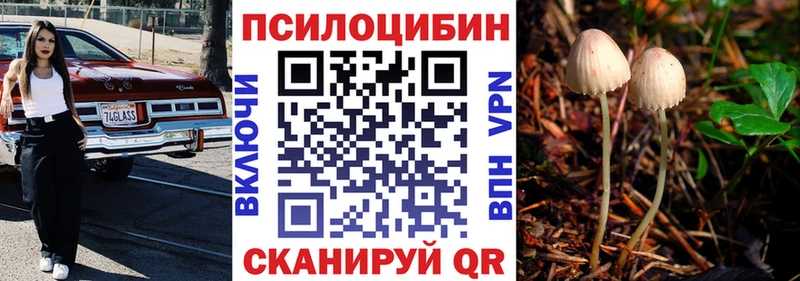 купить  цена  это состав  Галлюциногенные грибы GOLDEN TEACHER  Суоярви 